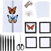Butterfly Specimen Mounting Kit, Complete Insect Taxidermy Supplies for Display Art