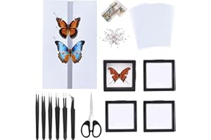 DDDZERONG Butterfly Specimen Kit Includes pins, mounting Board, Spreading Tools, Display case, Labels, Forceps, Preserving and showcasing Butterfly specimens.