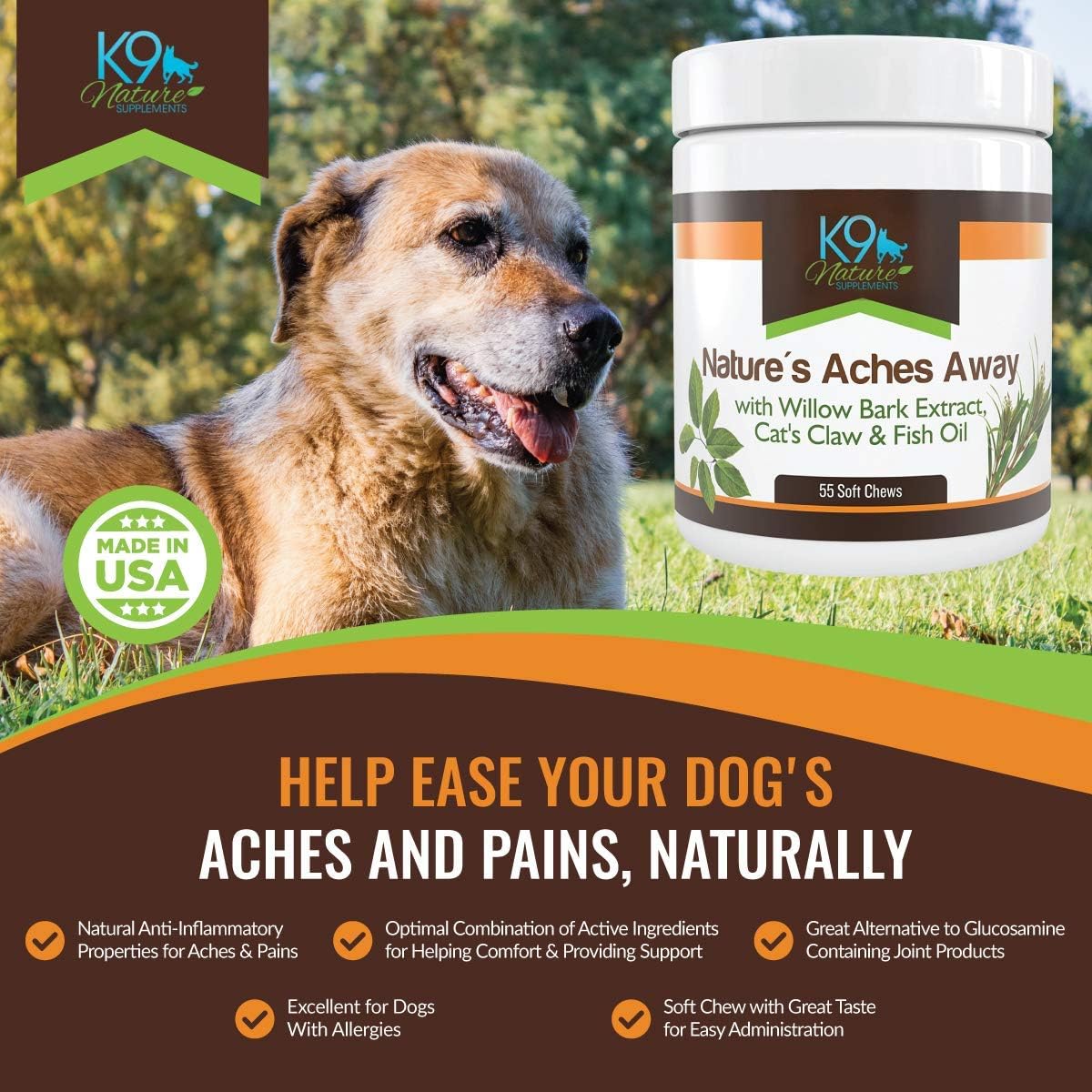 Arthritis Pain Relief Dog Hip And Joint Supplement Treats With Fish Oil Without Glucosamine Chondroitin Msm Or Aspirin 55 Soft Chews Of Nature S Aches Away For Dogs Pet Supplies Amazon Com