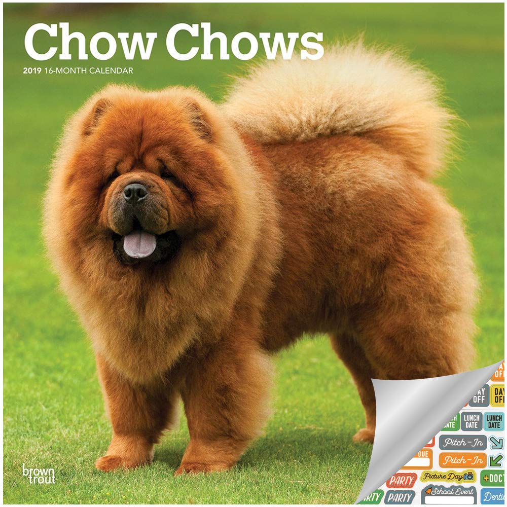 mongolian chow chow