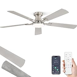 ZMISHIBO 52 Inch Ceiling Fan with Light, App&Remote