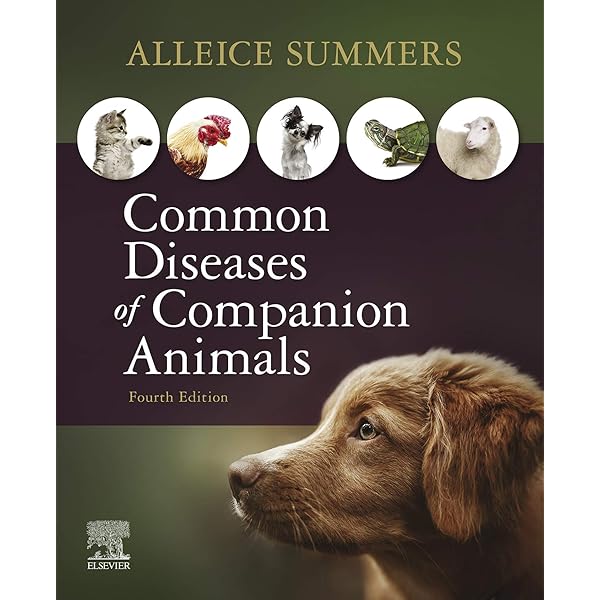 Amazon.com: Ettinger's Textbook of Veterinary Internal Medicine
