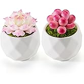 Listen Rainny Set of 2 Artificial Succulent Plants Potted - Small Fake Succulents Handmade for Home Decor, Pink Desk Accessories, Dorm Decor