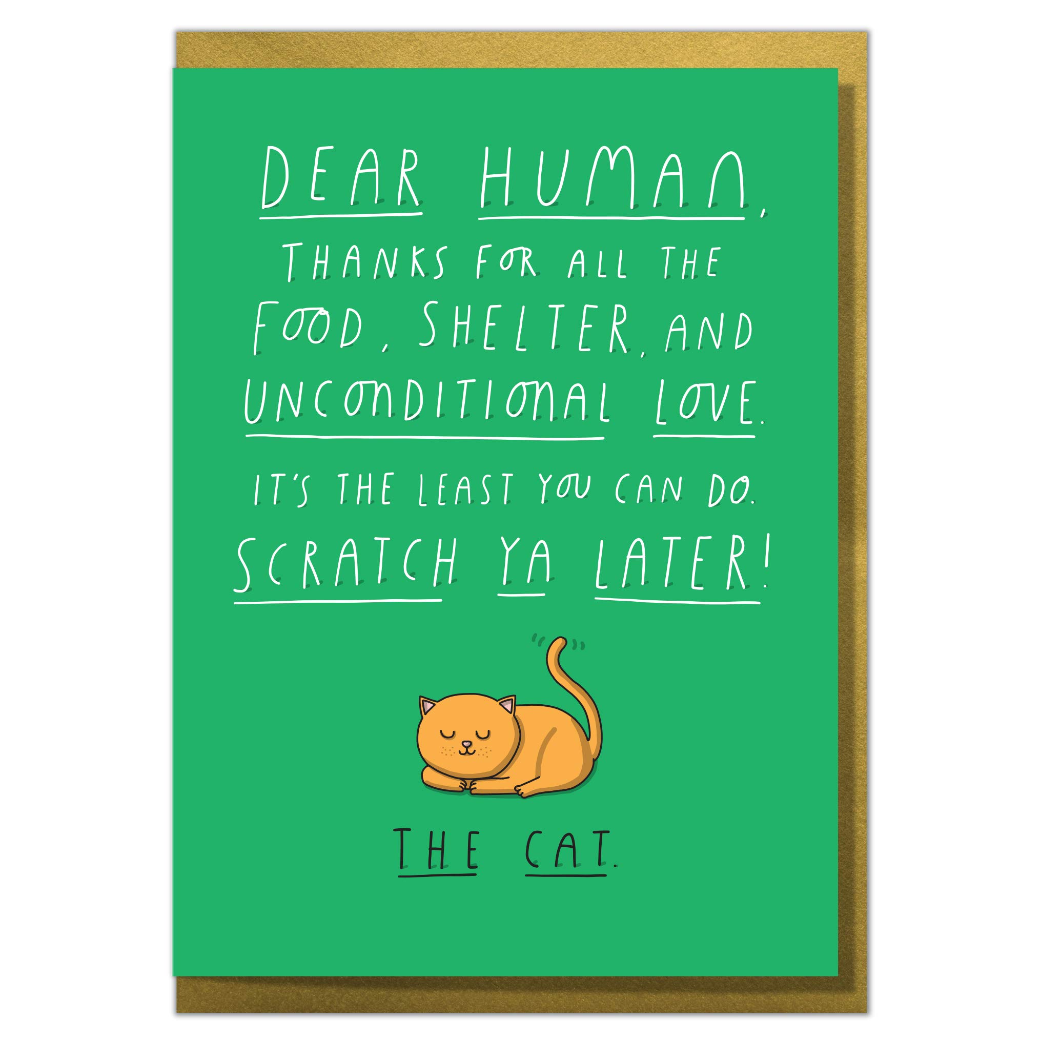 Scratch Ya Later! Funny Christmas or Birthday Card From The Cat