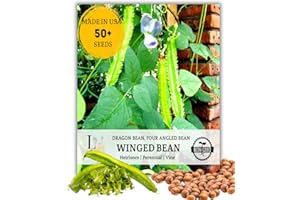 THE LUCKY STARS 50+ Premium Winged Bean Seeds – High-Yield, Nutritious, Tropical Climbing – Non-GMO, Heirloom Vegetable Dragon Four-Angled Bean Seed for Planting