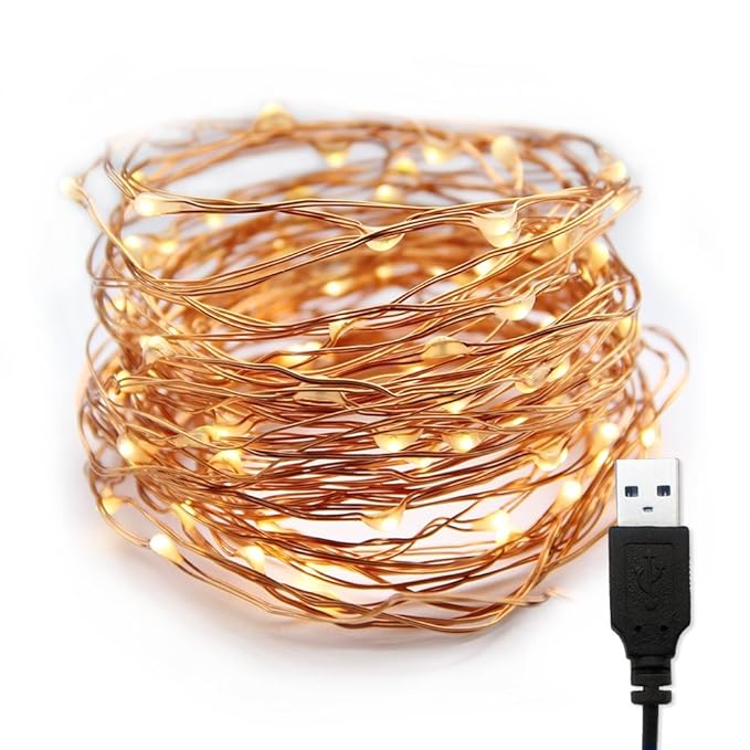 XERGY 10 Meter 100 LEDs Fairy Decoration String USB Powered Copper Warm White -Valentine Day Decoration