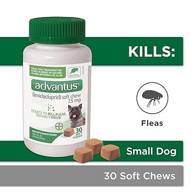 bayer advantus soft chews