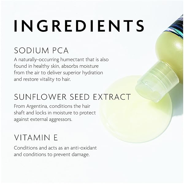 R+CO TELEVISION PERFECT HAIR SHAMPOO | BODY + SHINE + SMOOTHING FOR ALL HAIR TYPES | VEGAN + CRUELTY-FREE |