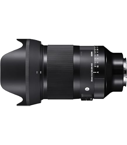 Amazon.com : Sigma 35mm F1.2 Art DG DN Lens for Sony E : Electronics