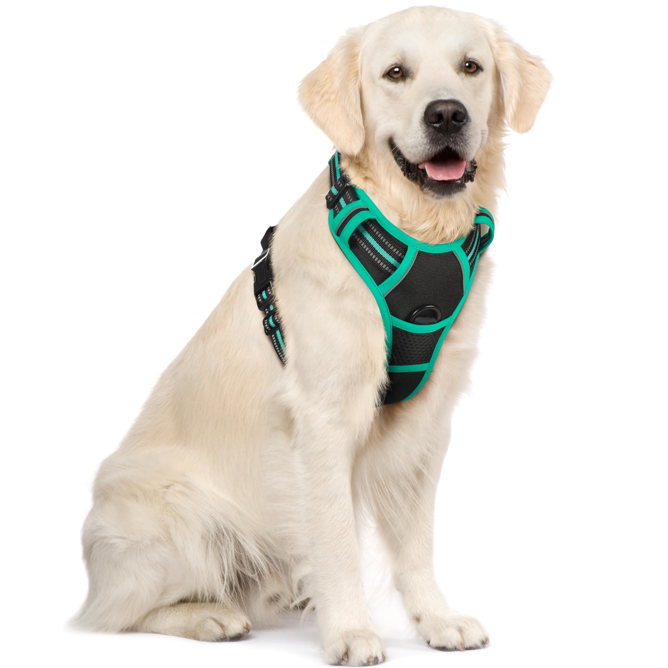 Photo 1 of rabbitgoo Dog Harness No Pull with 2 Leash Clips, Adjustable Soft Padded, Reflective Oxford No Choke Pet Vest with Easy Control Handle for Large Dogs, Black & Turquoise, XL