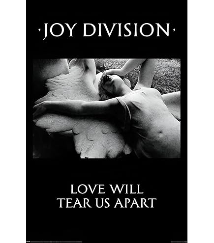 Amazon.com: Joy Division - Music Poster (Love Will Tear Us Apart