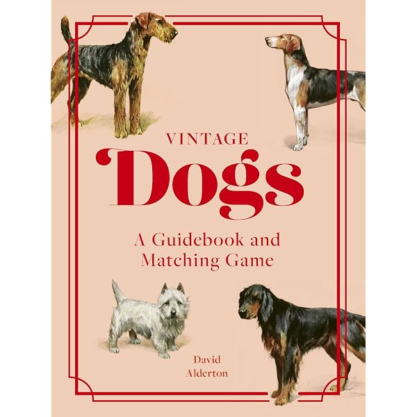 Smith Street Books - Carte Memory Heads & Tails: Abbina Cani Iconici - Gioco Da Tavolo Portatile