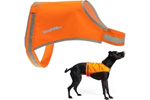 SAFETYPUP XD Blaze Orange Dog Vest, Lite Edition. High Visibility Dog Reflective Jacket with Mid Back Coverage. Ideal Hunting Vest, Reflective Gear for Small, Medium, and Large Breeds Helping to Keep Your PUP Safe