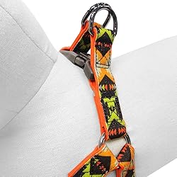 Blueberry Pet 2 Colors Soft & Comfy Step-in