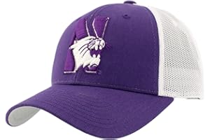 Zephyr Men's Adjustable Snapback Hat Big Rig