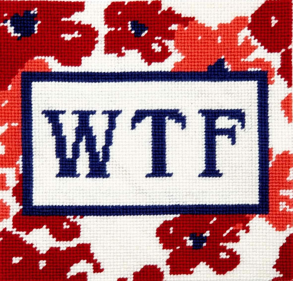 WTF Needlepoint kit for Adults & Beginners. Contemporary