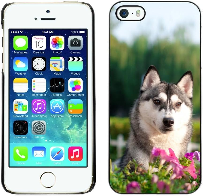King Case - FOR iPhone 5 / 5S - Huskies Husky Dog Paws Cute - Designed Hard Plastic Protective Case