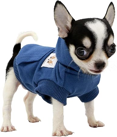 xxs dog hoodie