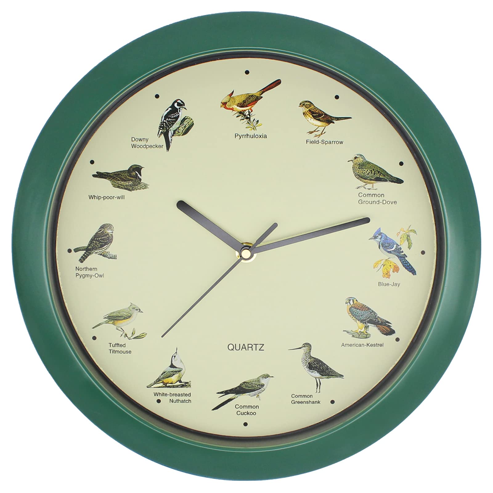 Photo 1 of Belinlen Singing Bird Wall Clock 12 Inch Bird Singing Clock for Home or Office Room Decorative (Green)