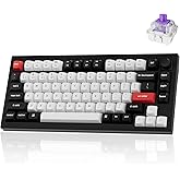 Keychron Q1 HE Wireless Custom Mechanical Keyboard with Hall Effect Gateron Double-Rail Magnetic Switch Rapid Trigger, QMK 2.4 GHz Bluetooth 5.2 RGB Compatible with Mac Windows Linux (Hot-swappable)