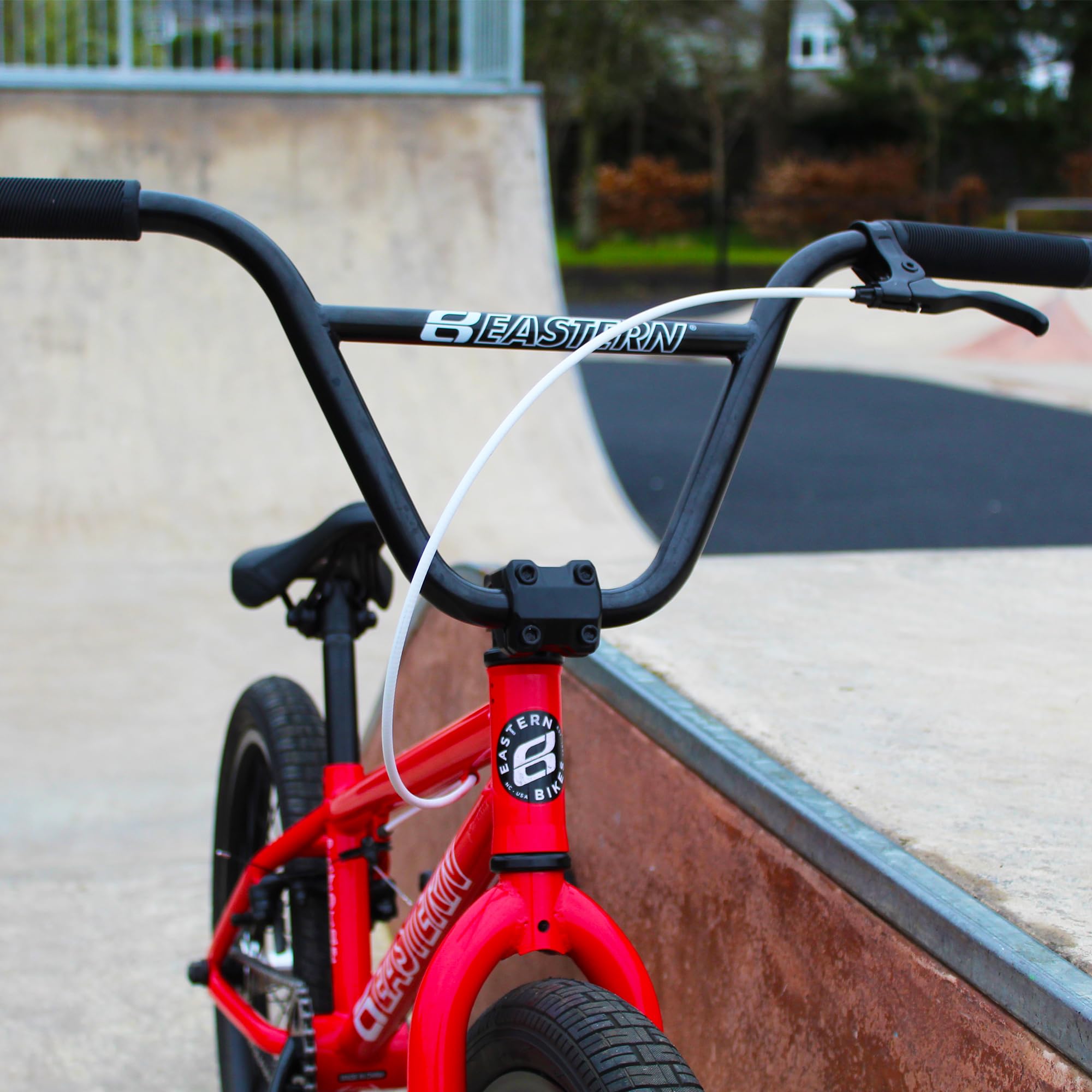 Eastern Bikes Paydirt - 20-Inch Freestyle BMX for Beginners, Durable Frame, Ideal for Street and Park Riding