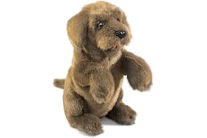 Folkmanis Sitting Dog Hand Puppet, Brown