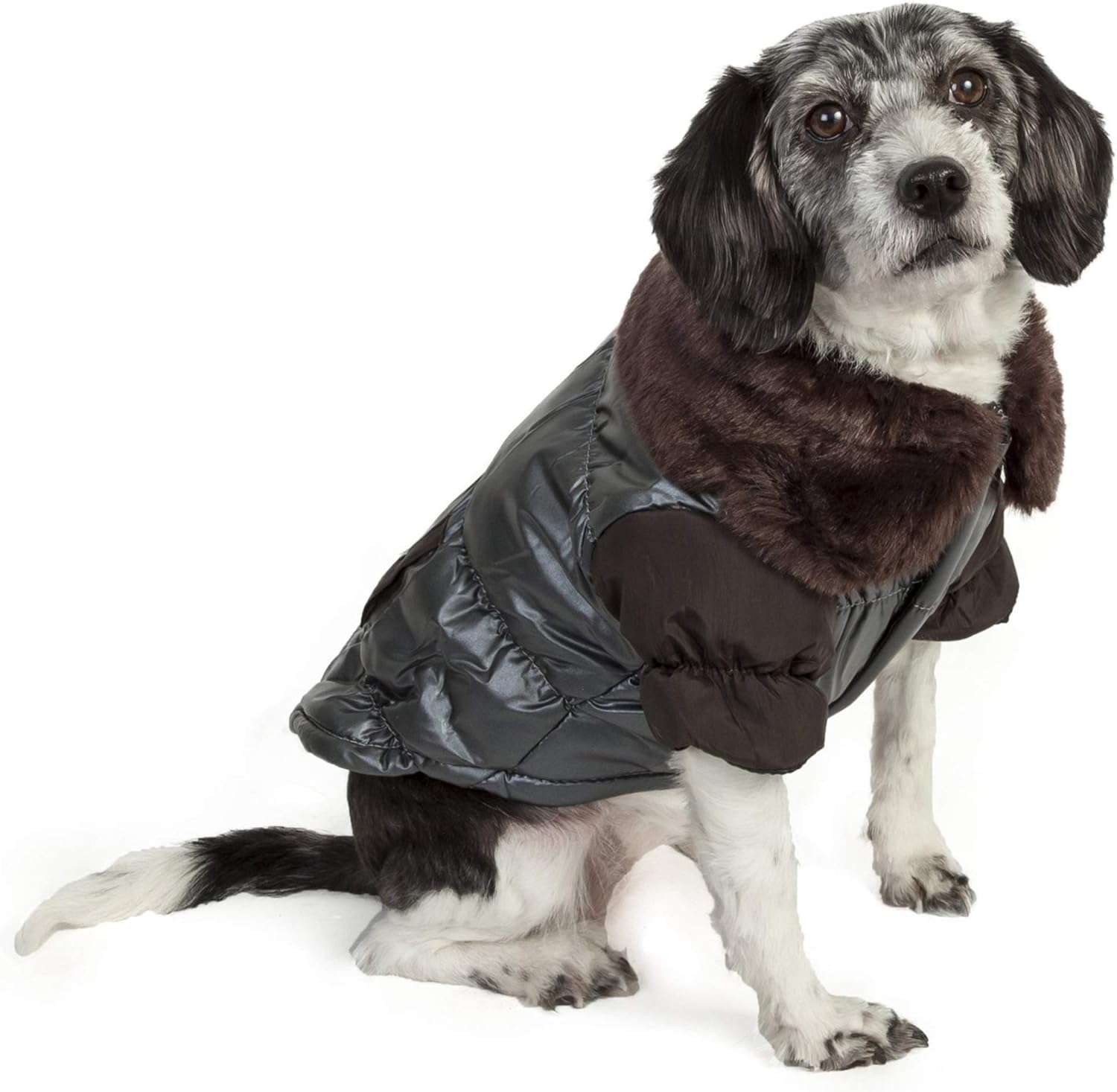 dog parka coat