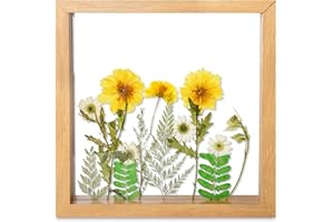 fanhuashijn Clear Pressed Flower Frame - Dried Flower Frame Adult Girls Night Crafts for Women Mother Gift (Yellow-1, Medium)
