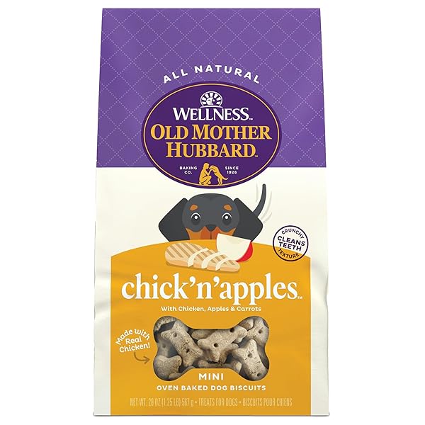 OLD MOTHER HUBBARD WELLNESS CHICK’N’APPLES DOG BISCUITS, NATURAL, TRAINING TREATS, CHICKEN & APPLES FLAVOR, MINI SIZE, (20 OUNCE BAG)