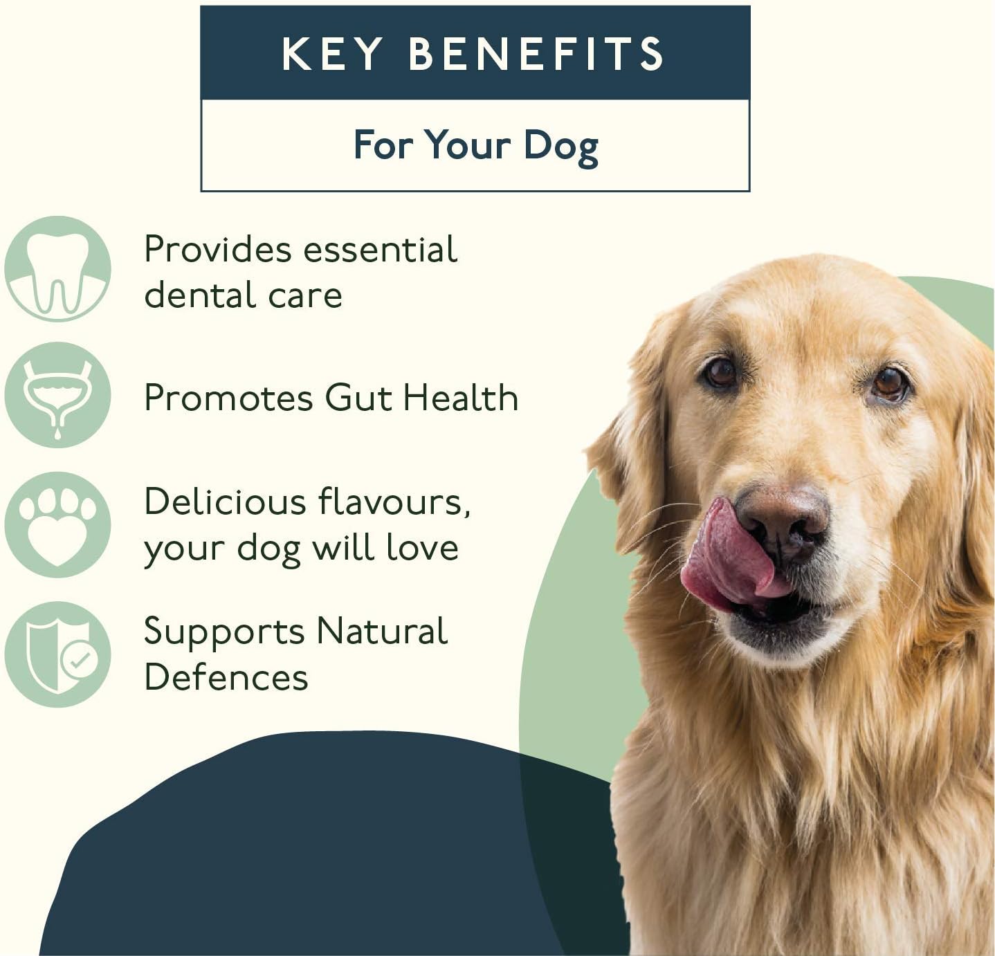 Petlab Co. Prebiotic Dental Sticks, Dog Dental Sticks To Target Plaque Build-Up At The Source & Keep Breath Fresh, 600 grams - Image 3