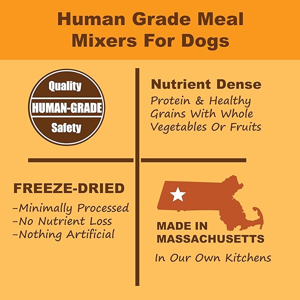 WHOLE LIFE PET BISTRO BOWL FOR DOGS – HUMAN GRADE MEAL MIXER FOOD TOPPER – HEALTHY WHOLE FOOD INGREDIENTS, PROTEIN RICH, ALL NATURAL – PICKY EATERS