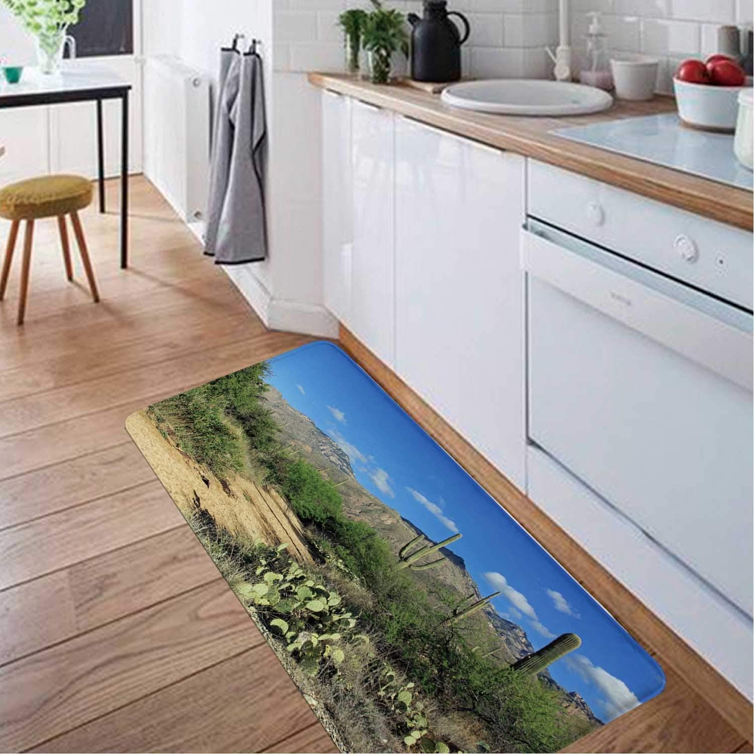 Hiking Trail in Bear Canyon Tucson,Living Room Rug Throw Rugs AZ Kitchen Mats and Rugs 2.6 x 4 ft