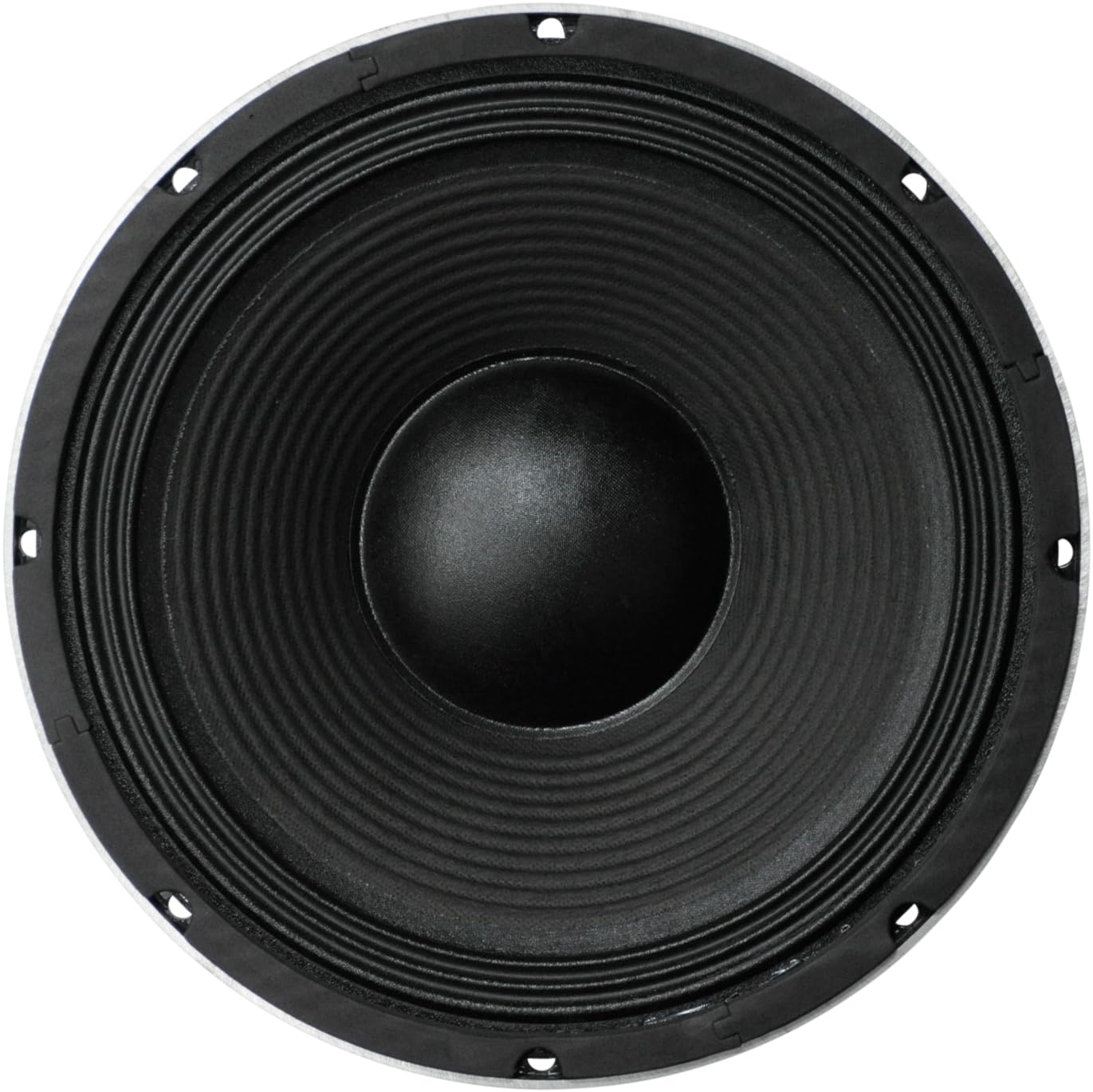 SoundLAB 10" Black 300 W Bass Speaker (8 Ohm)