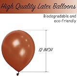 SHATCHI Dark Brown Balloons 50 Pack 12 Inch Latex Biodegradable view 3