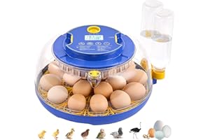 AFLYEVER 18 Egg Incubator with Auto Turn & Humidity Control, 360° View Poultry Hatcher for Chicken/Duck/Turkey/Quail Eggs - Incubator for Hatching Eggs