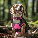 Joytale Reflective Dog Collar Large Pink Neoprene Padded Nylon Adjustable view 2