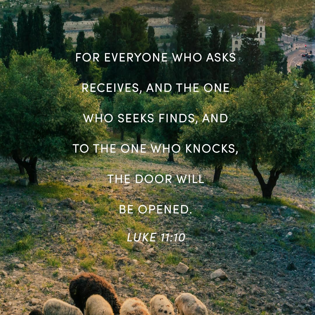 Luke in the Land - Bible Study for Women with Video Access: Walking with Jesus in His First-Century World Luke in the Land - Bible Study for Women with Video Access: Walking with Jesus in His First-Century World Paperback