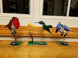 Amazon.com: LEGO Ideas 21301 Birds Model Kit(Discontinued by