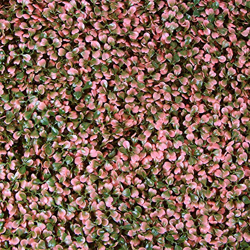 ULAND Artificial Hedges Panels, Boxwood Greenery Ivy Privacy Fence Screening, Home Garden Outdoor Wall Decoration, 20"x20" per pc (6, Pink Boxwood)