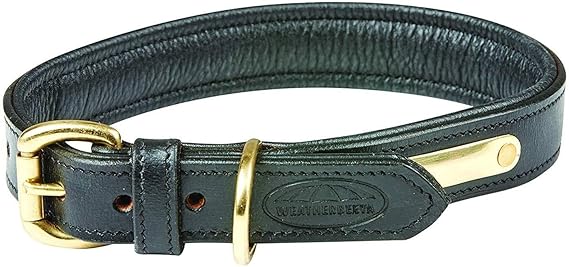 Weatherbeeta dog collar Clearance