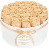 17 Forever Flowers in a Luxury Suede Box, Preserved Roses Birthday Gifts for Women, Romantic Anniversary Valentines Day Gifts for Her Girlfriend Wife, Champagne
