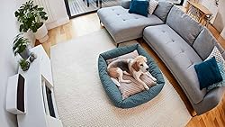 2 Ring Indoor Cam (2nd Gen), White with 2 Ring Pet