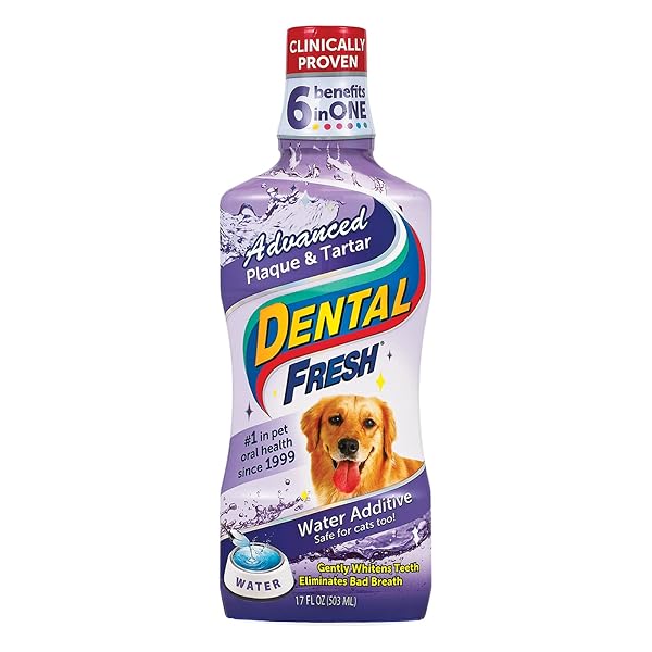DENTAL FRESH ADVANCED PLAQUE AND TARTAR WATER ADDITIVE, 17OZ – DOG TEETH CLEANING FORMULA TO FRESHEN BREATH AND IMPROVE CAT & DOG DENTAL CARE