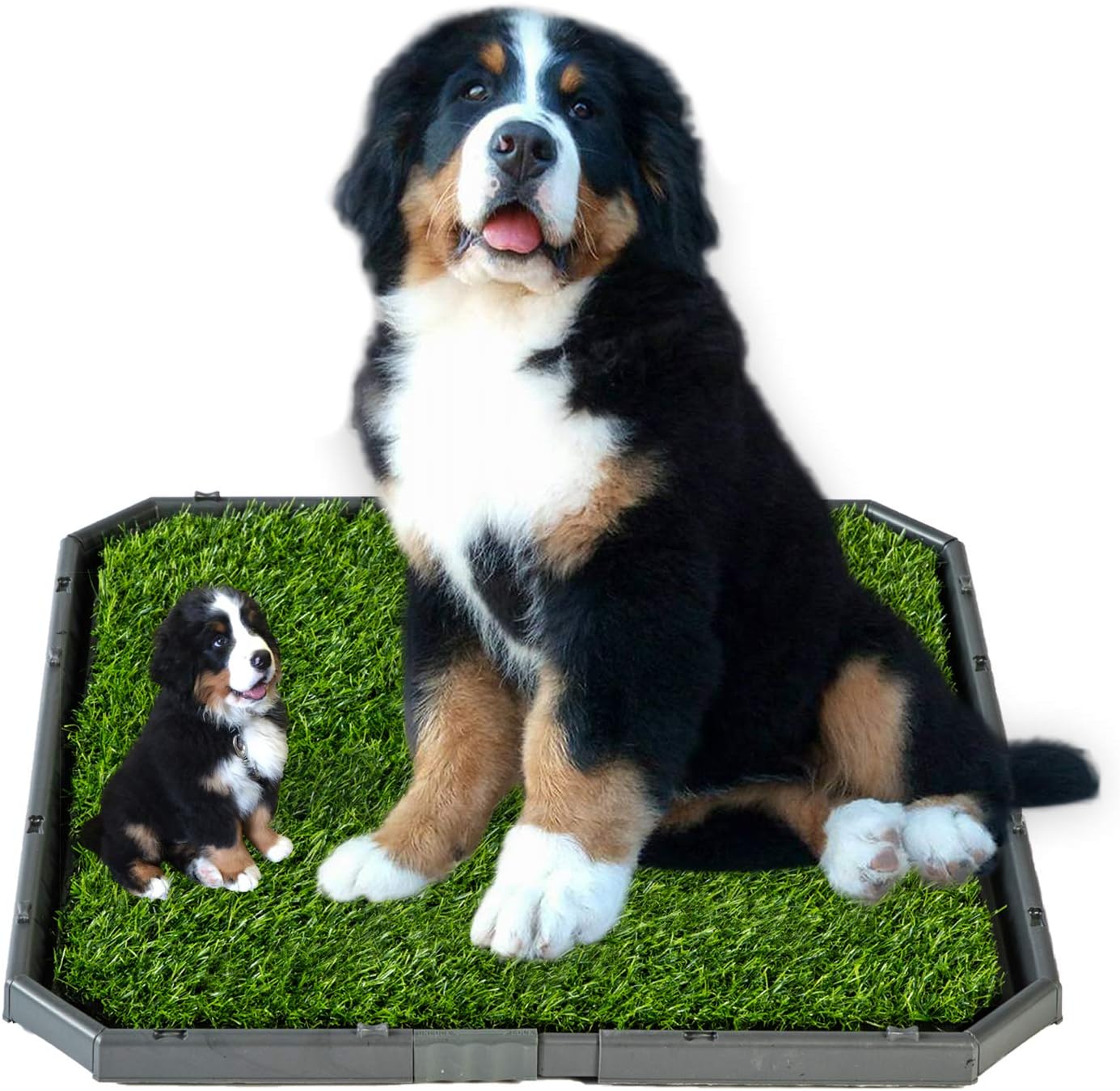 Artificial Grass Bathroom Mat for Dog Puppies Pee Pad Potty Indoor Outdoor Training Toilet Pad with Grass …