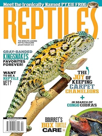 amazon reptile store