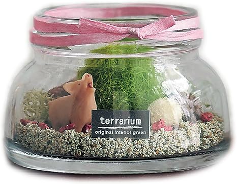 Amazon ベルメゾン テラリウムパーク手作りキット ブタ プラモデル 通販