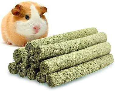guinea pig accessories amazon