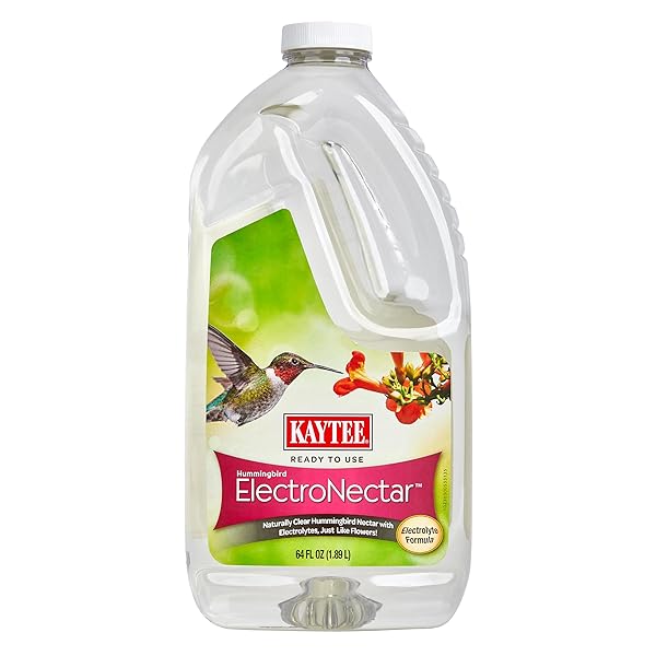 KAYTEE HUMMINGBIRD ELECTRONECTAR WILD BIRD FOOD, READY TO...