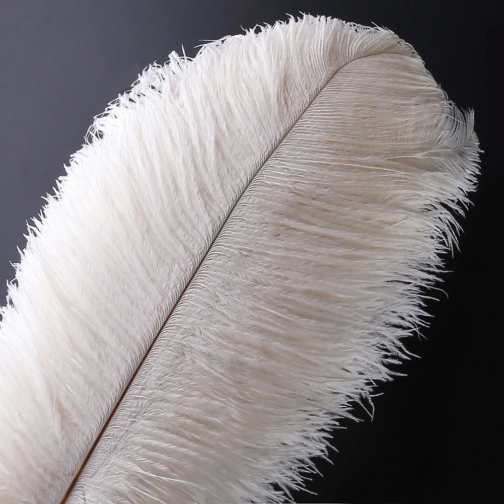 Voilalove 10pcs Natural Ostrich Feather Craft 16-18inch(40-45cm) Plume for Wedding Centerpieces Home Decoration (40-45cm,White)