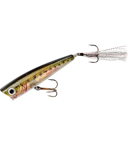 Amazon.com : Rebel Pop-R Feathered Topwater Popper Fishing